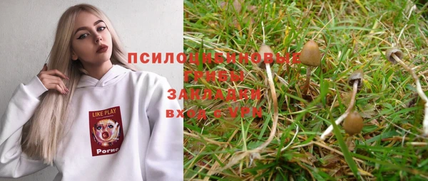 первитин Армянск