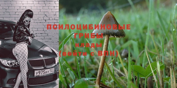 ешки Аркадак