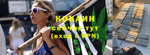 ешки Аркадак