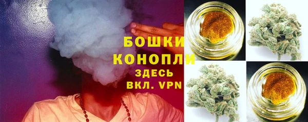 ешки Аркадак