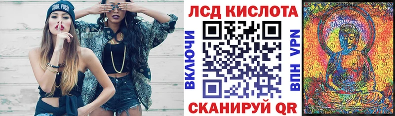 как найти   Правдинск  kraken вход  Марки 25I-NBOMe 1,5мг 